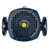 Циркуляционный насос MAXPUMP IL 50-310/22
