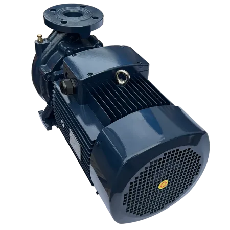 Циркуляционный насос MAXPUMP F 32-200/55