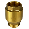 Обратный клапан MAXPUMP 1¼" НР - ВН