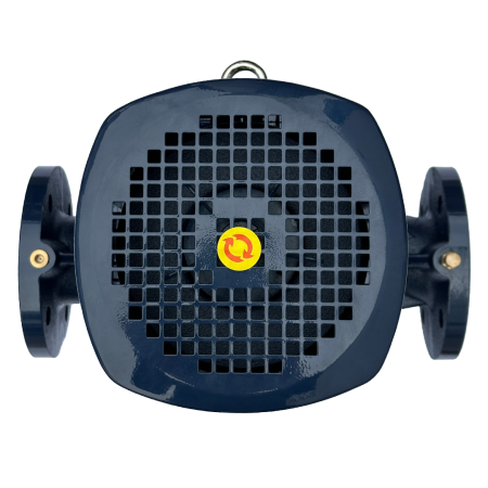 Циркуляционный насос MAXPUMP IL 50-310/22